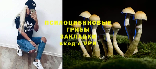 индика Баксан