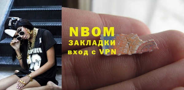 индика Баксан