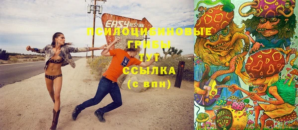 индика Баксан