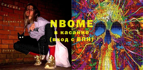 индика Баксан