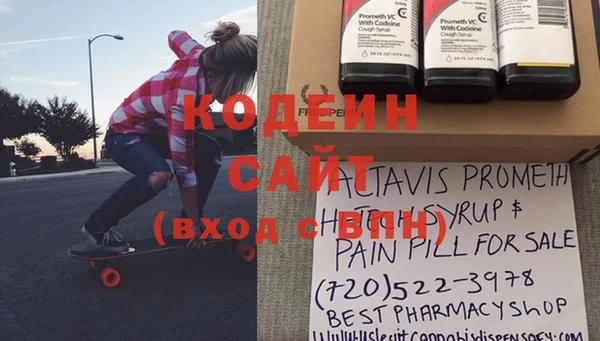 индика Баксан