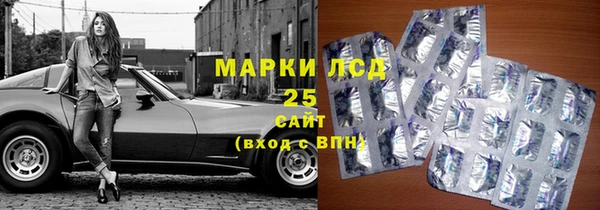 шишки Костерёво