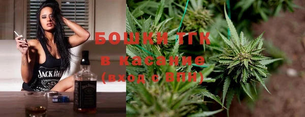 индика Баксан
