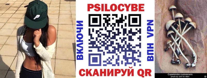 Псилоцибиновые грибы Psilocybine cubensis  Окуловка 