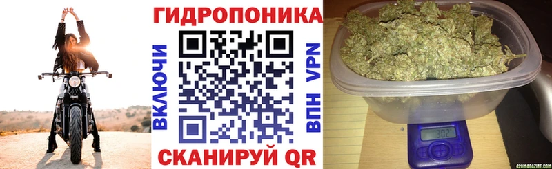 Конопля SATIVA & INDICA Окуловка